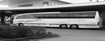 Bus europaweit